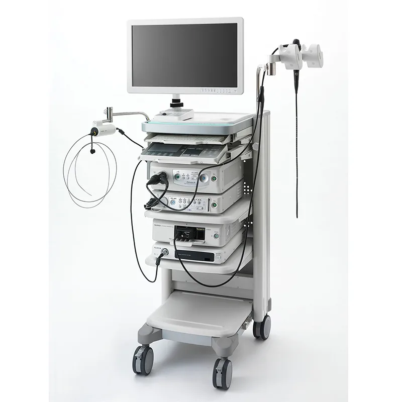 EUS (Endoskopik Ultrasonografi)