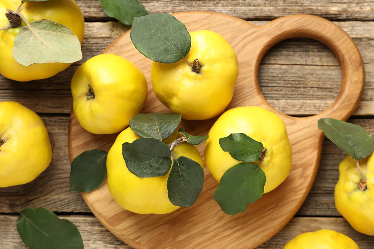 Ayvanın Faydaları Nelerdir? Ayva Neye İyi Gelir?