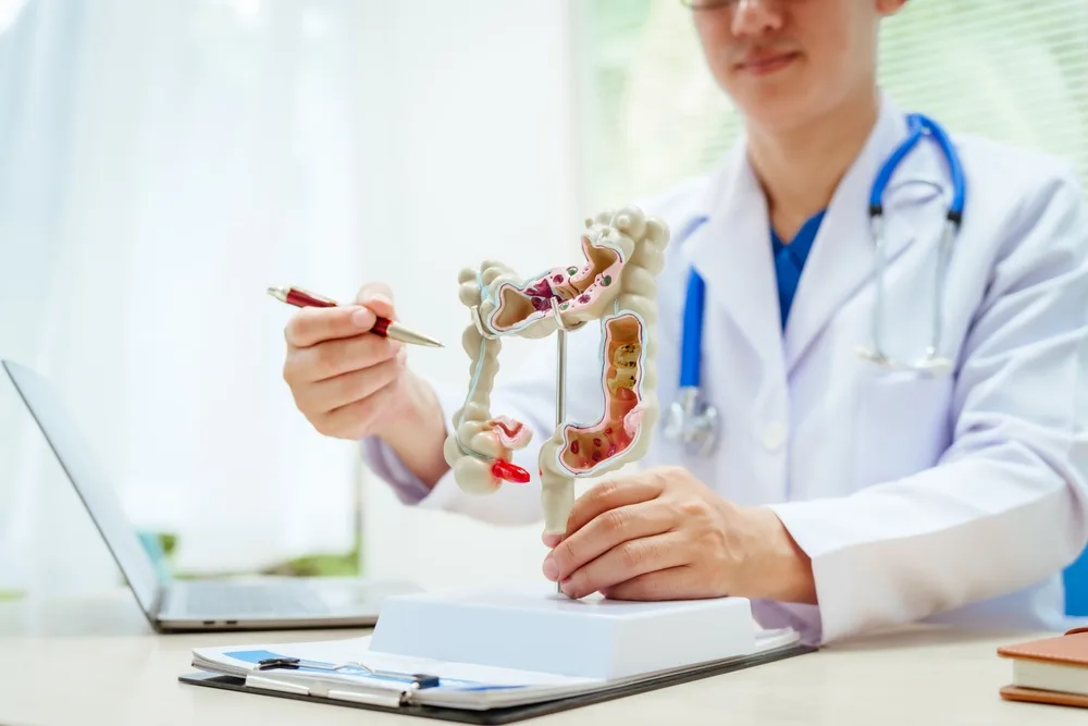 Mide Kapakçığı Nedir? Mide Kapakçığı Ne İşe Yarar?