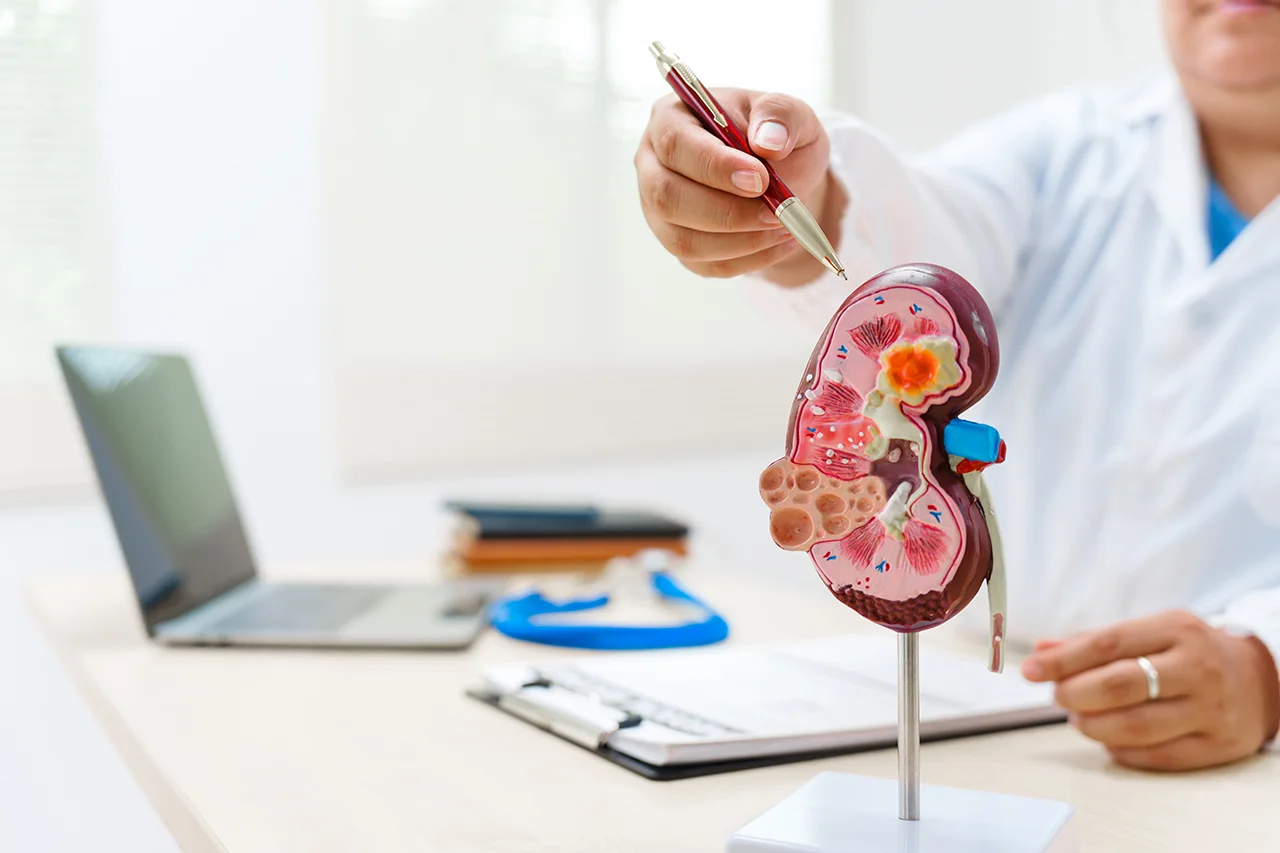 Glomerülonefrit Nedir?