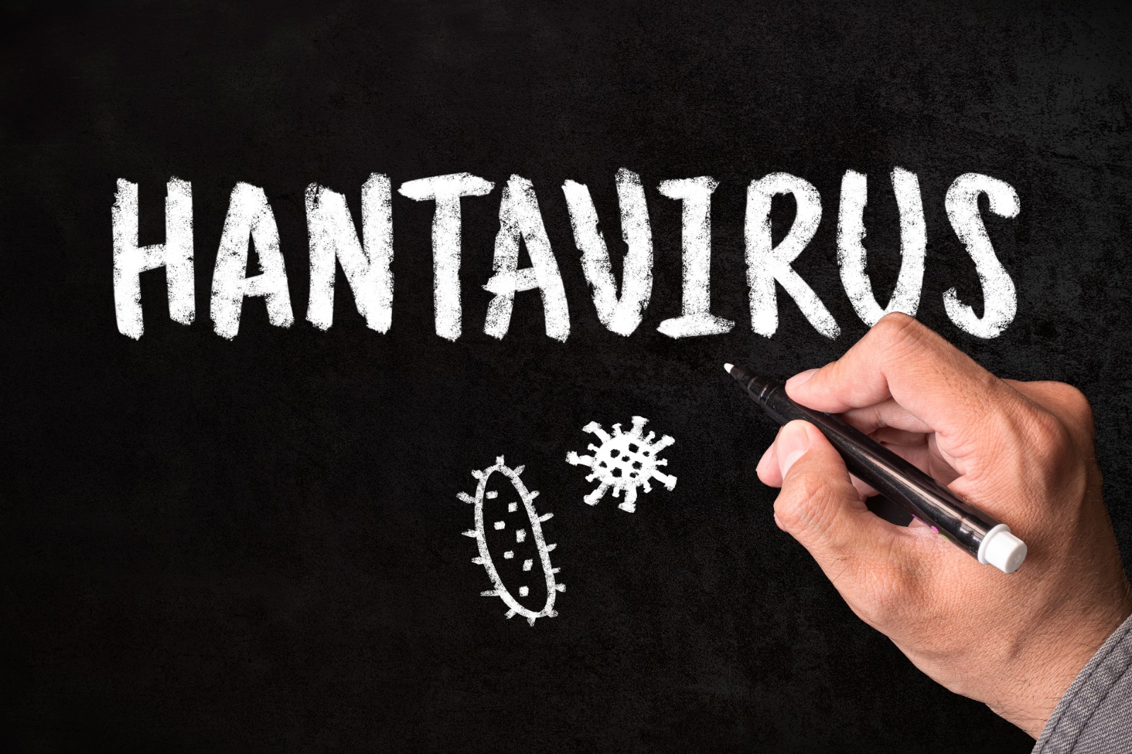 Hantavirüs Nedir? Belirtileri, Bulaşma Yolları, Tedavisi ve Korunma Yöntemleri