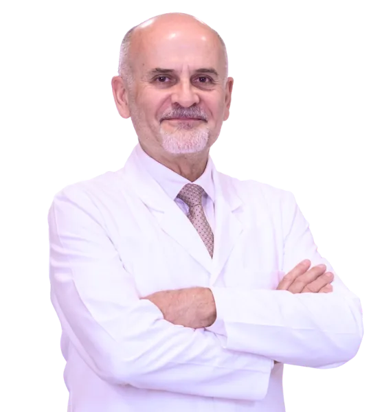 Prof. Dr. Ali Uğur Ural