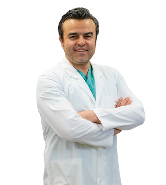 Prof. Dr. Mehmet Koray Akkan