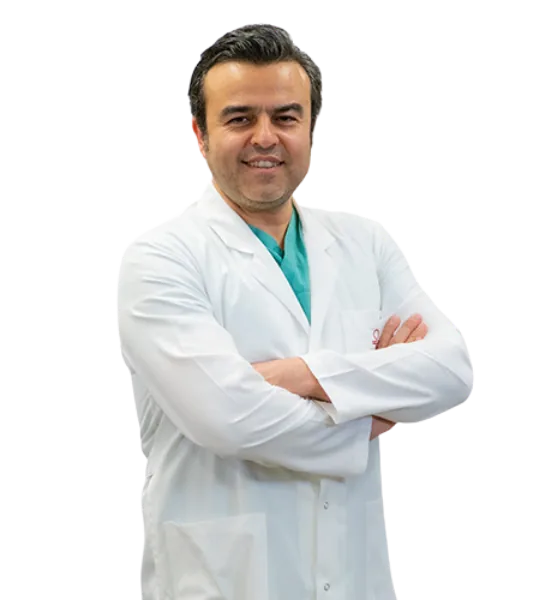 Prof. Dr. Mehmet Koray Akkan