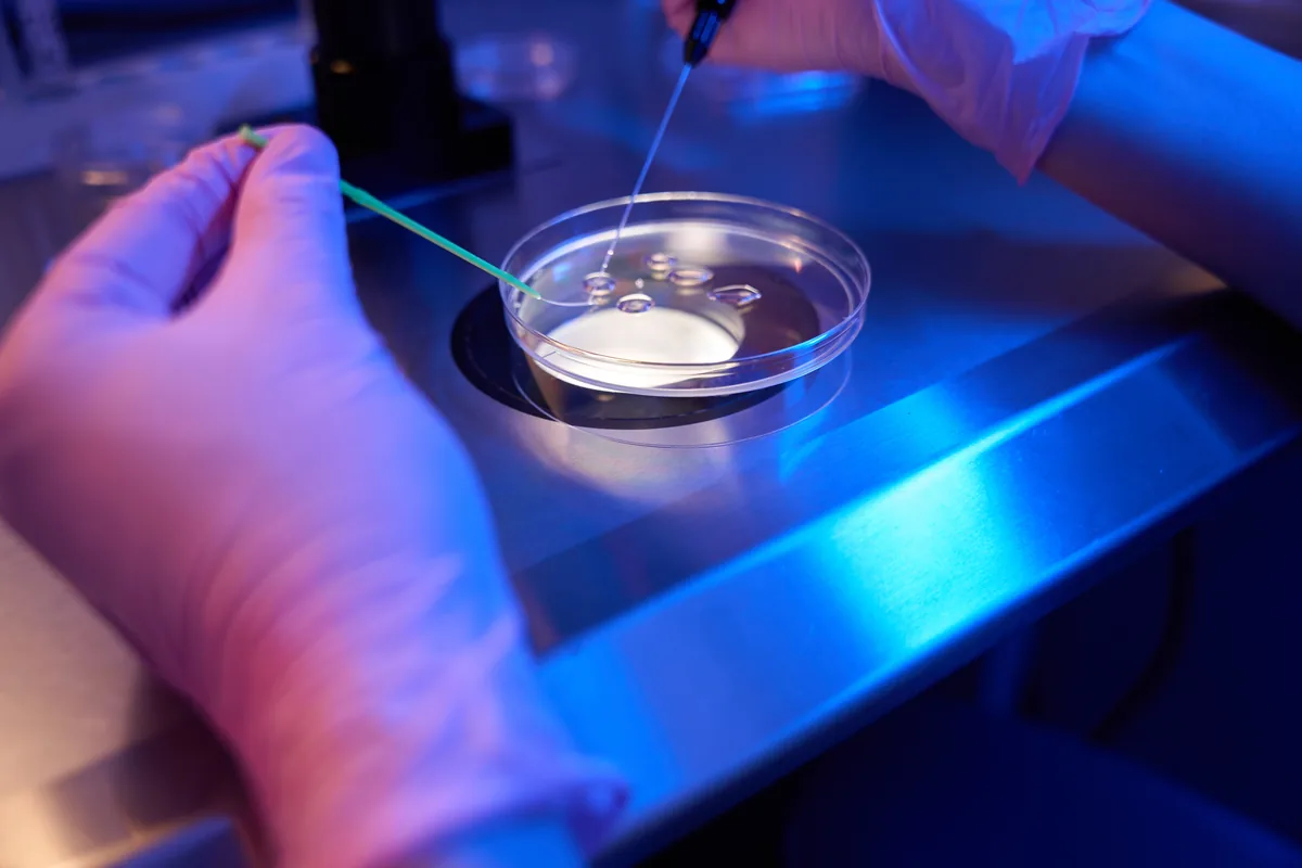 How To Increase Sperm Quality