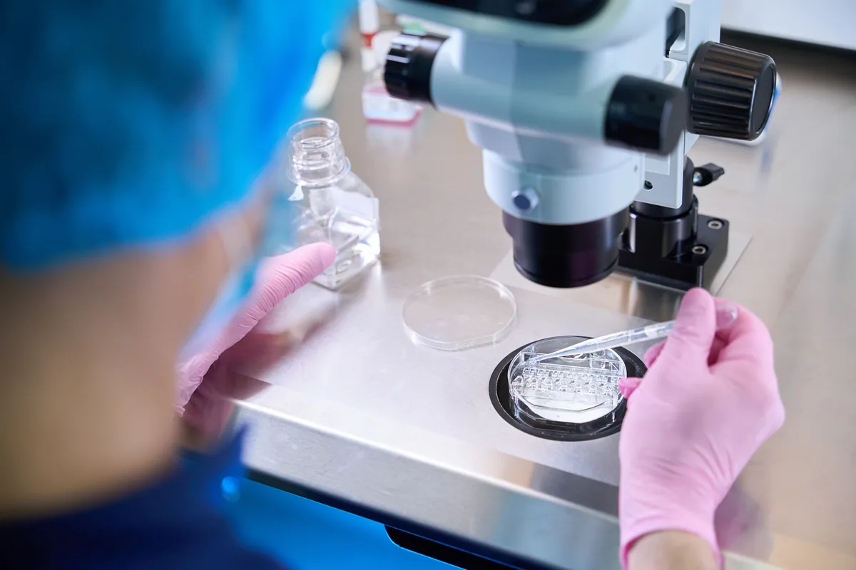 In Vitro Fertilization Glossary