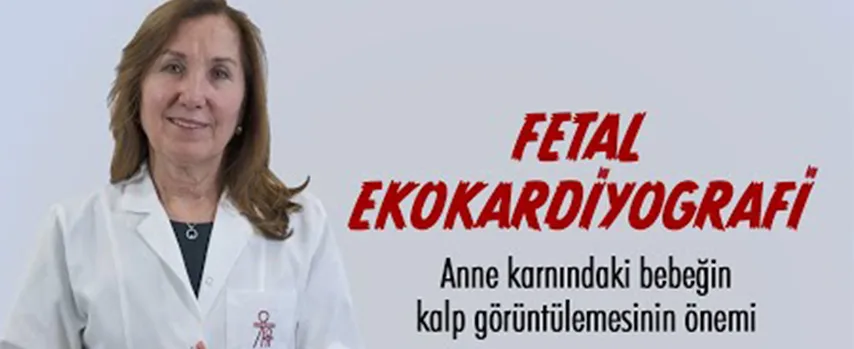 Fetal Ekokardiyografi Nedir?