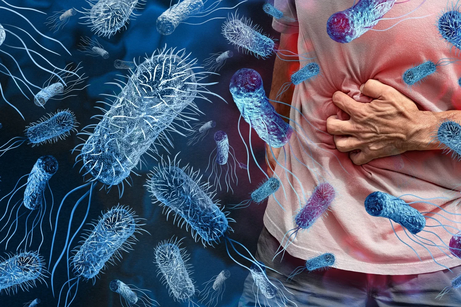 Salmonelloz Nedir? Salmonella Belirtileri Nelerdir?