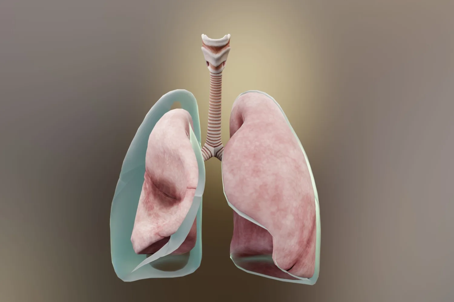 Pnömotoraks (Akciğer Sönmesi) Nedir, Belirtileri Nelerdir?