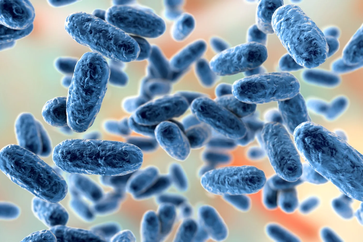 Boğmaca Hastalığı Nedir? Belirtileri Nelerdir?