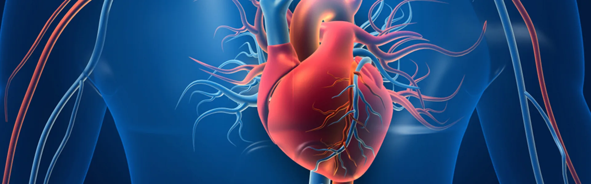 Kalp ve Damar Hastalıkları ‘Önlenebilir Hastalıklar’dır