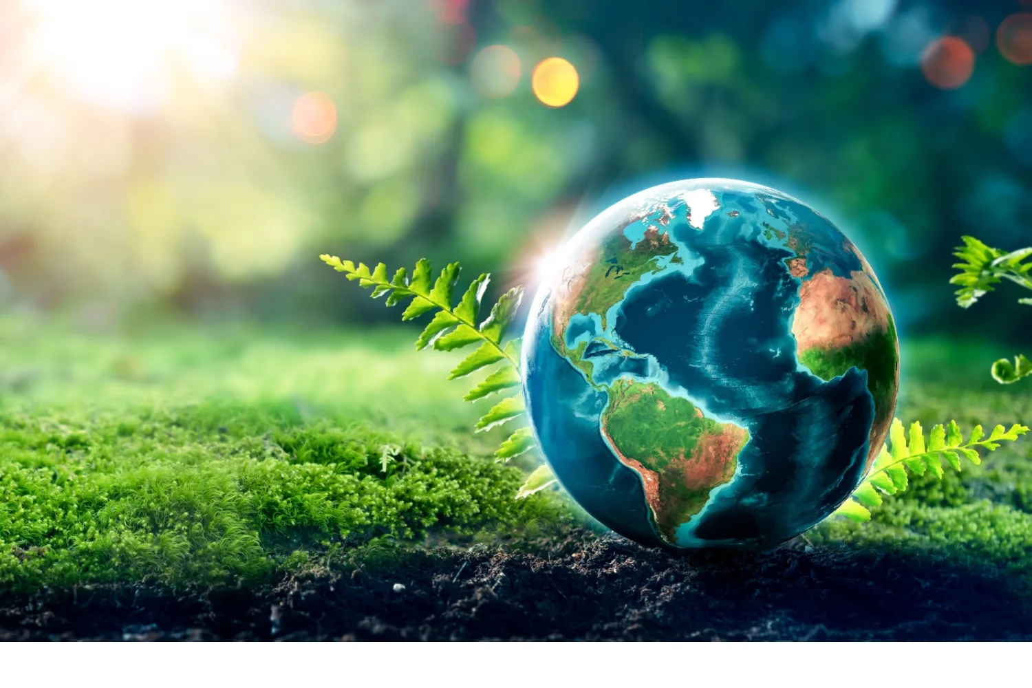 İklim Değişikliği, Endokrin Bozucular ve Bütünsel Sağlık