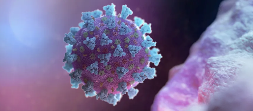 Covid-19 Enfeksiyonu ile Etkin Mücadele için Bağışıklık Sisteminizi Güçlendirin