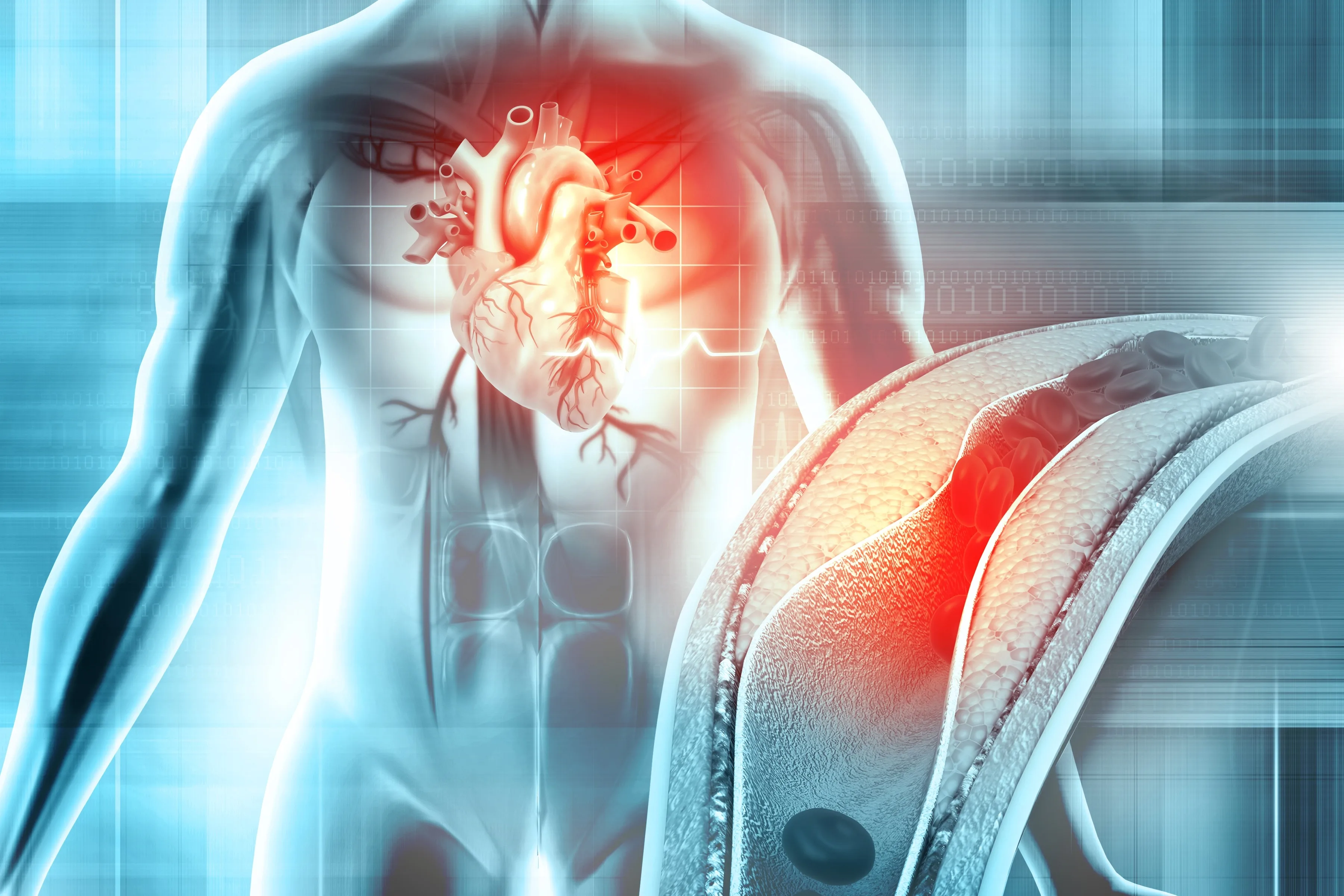 Damar Sertliği Nedir? Damar Sertliği Belirtileri Nelerdir?