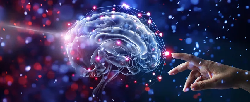 Görsel Algı ve Tepkilendirmenin Nörobiyolojik Temelleri