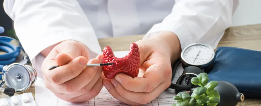 Hashimato Tiroidi (Haşimato Hastalığı) Nedir?