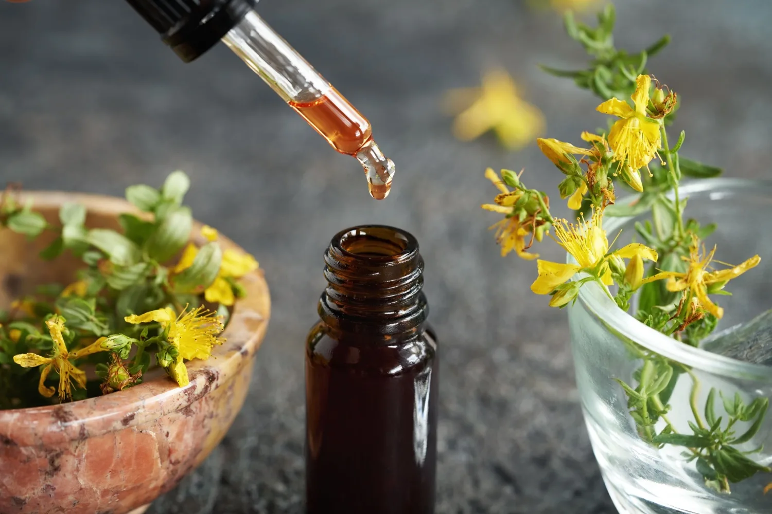 Kantaron Yağı Nedir? Kantaron Yağının Faydaları ve Yan Etkileri Nelerdir?