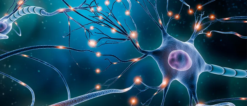 Nöral Terapi Hakkında Bilinmesi Gerekenler