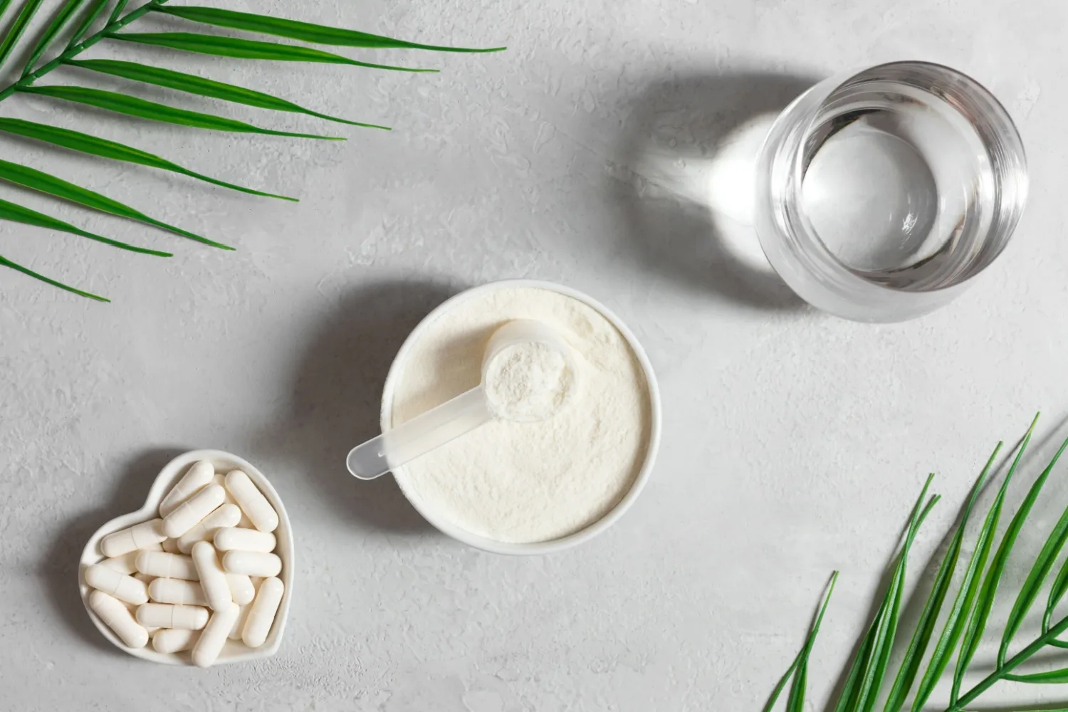 Protein Takviyesi Nedir? Türleri, Kullanımı ve Zararları