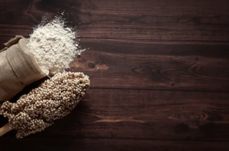 Sorgum Nedir? Sorgumun Faydaları, Zararları ve Yan Etkileri Nelerdir?