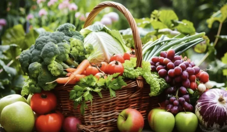 Sürdürülebilir Beslenme Nedir?